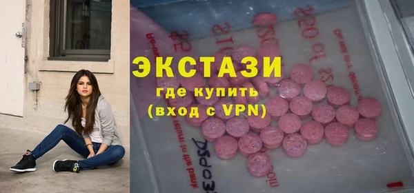 гидра Горняк