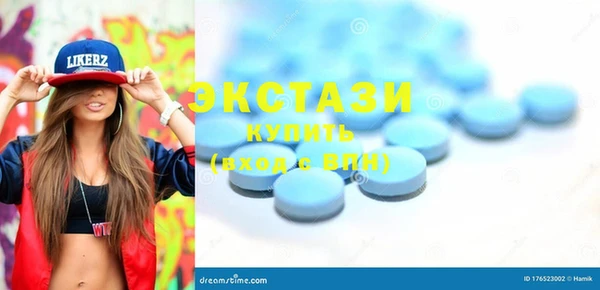 гидра Горняк
