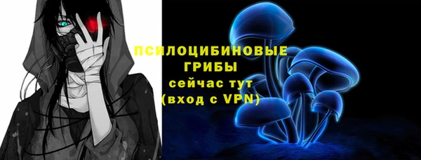 бутират Горно-Алтайск