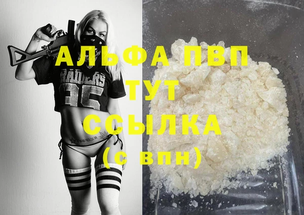гидра Горняк