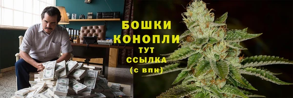 гидра Горняк