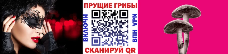 Галлюциногенные грибы мицелий  Купить  Долинск 